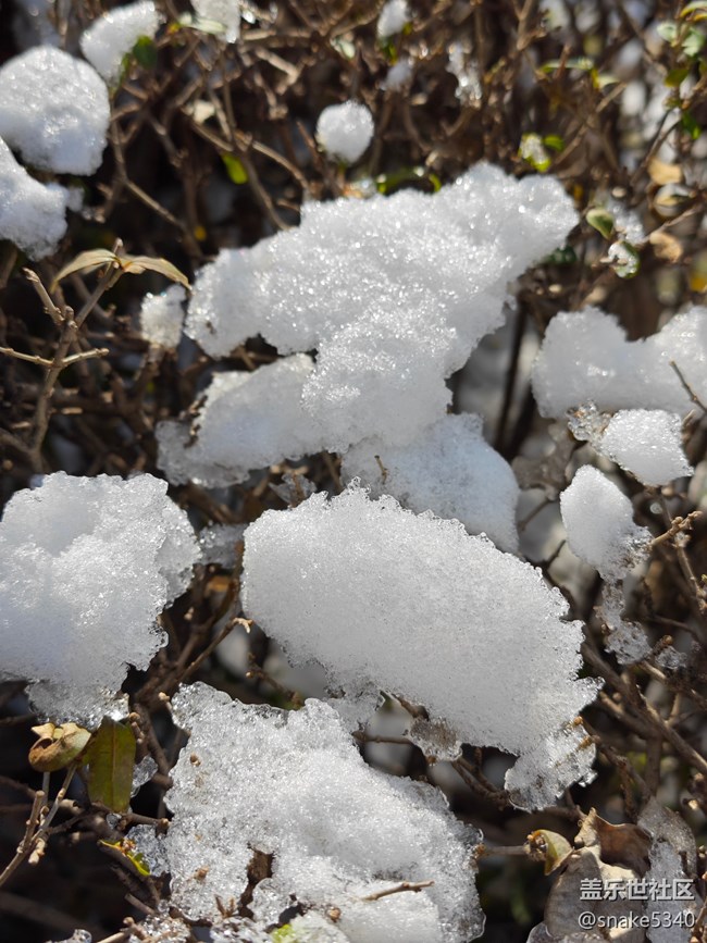 【瑞雪纷飞】+ 小雪