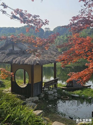 【冬季城市风光】浣花溪