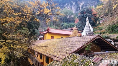 【冬季城市风光】+ 成都大邑白岩寺看银杏
