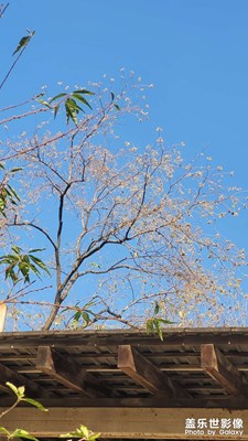 【冬季城市风光】+ 身边的风景