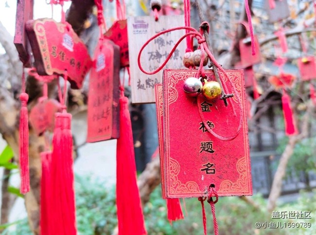 【岁末记忆】年末祈福来年好运