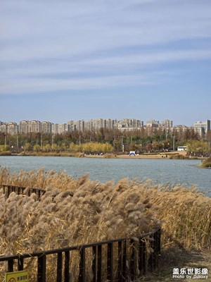 【冬季城市风光】+沁泉湖公园