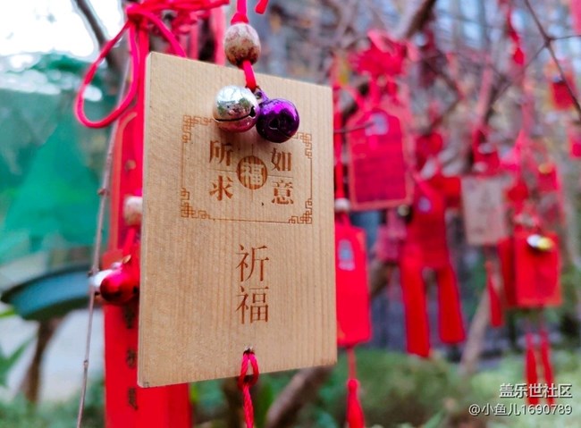 【岁末记忆】年末祈福来年好运