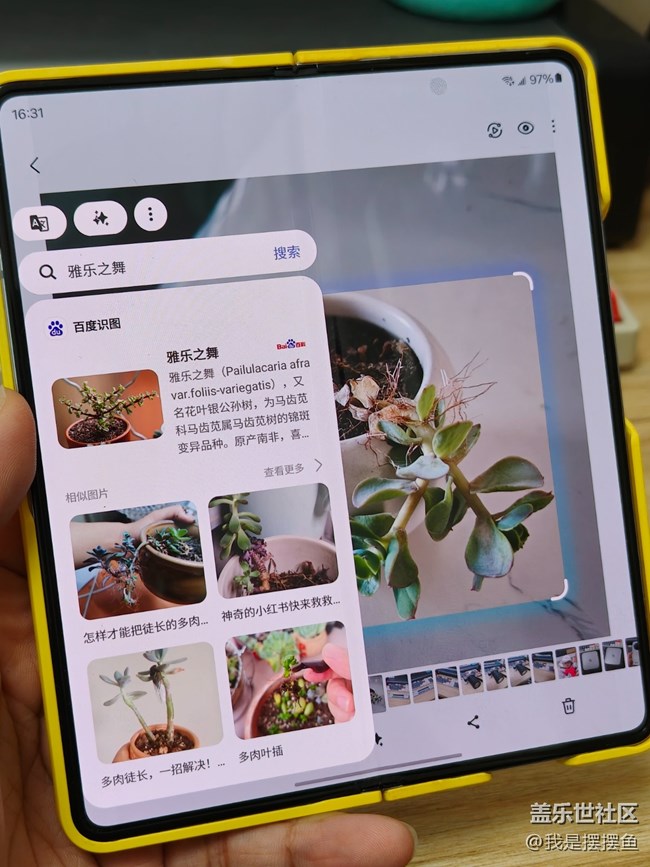 三星手机的即圈即搜功能隐藏得太深了，很多人还不知道吧？