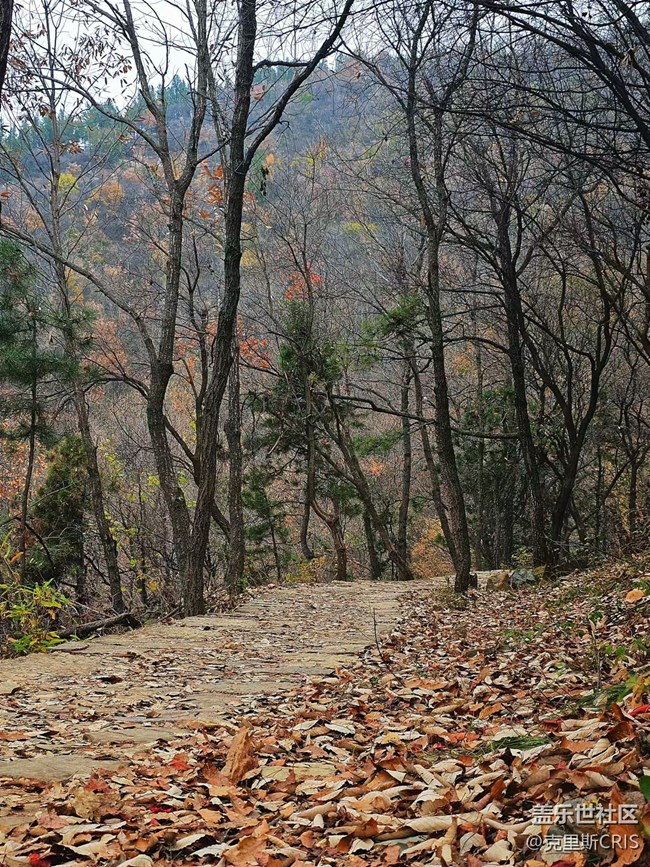 【新冬可期】遇见心中所盼的那份宁静