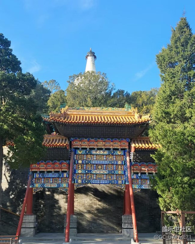 2024-12-03 人与机老当益壮，公园健步走。