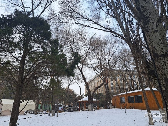 【瑞雪纷飞】雪后