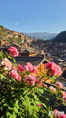 手机里的风景照