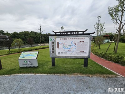 随手拍
