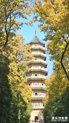 南京 ×  灵谷寺景区