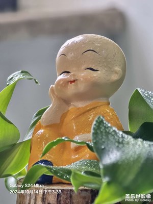 24u拍照是我用过最好的