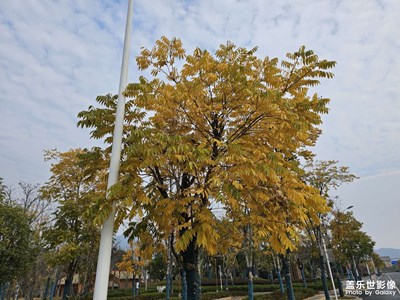随手拍