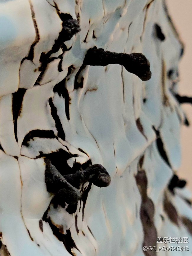 【上海当代艺术博物馆线下摄影活动】+艺术展