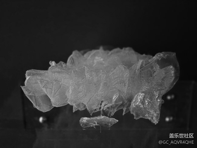 【上海当代艺术博物馆线下摄影活动】+艺术展