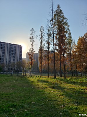 【冬季城市风光】+ 冬天的城市