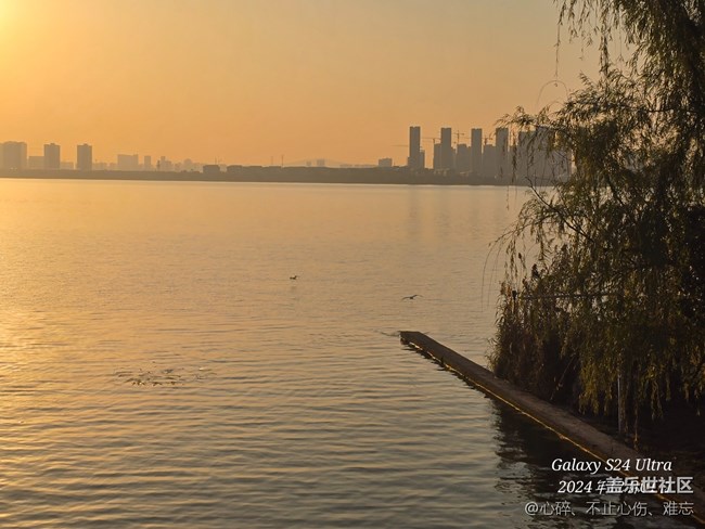 苏州星部落 赏秋品鉴活动