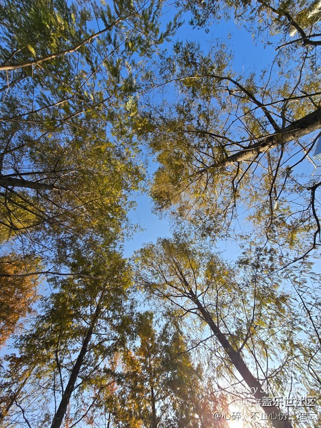 苏州星部落 赏秋品鉴活动