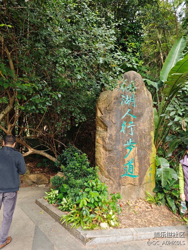 【活动回顾】落羽杉黄了