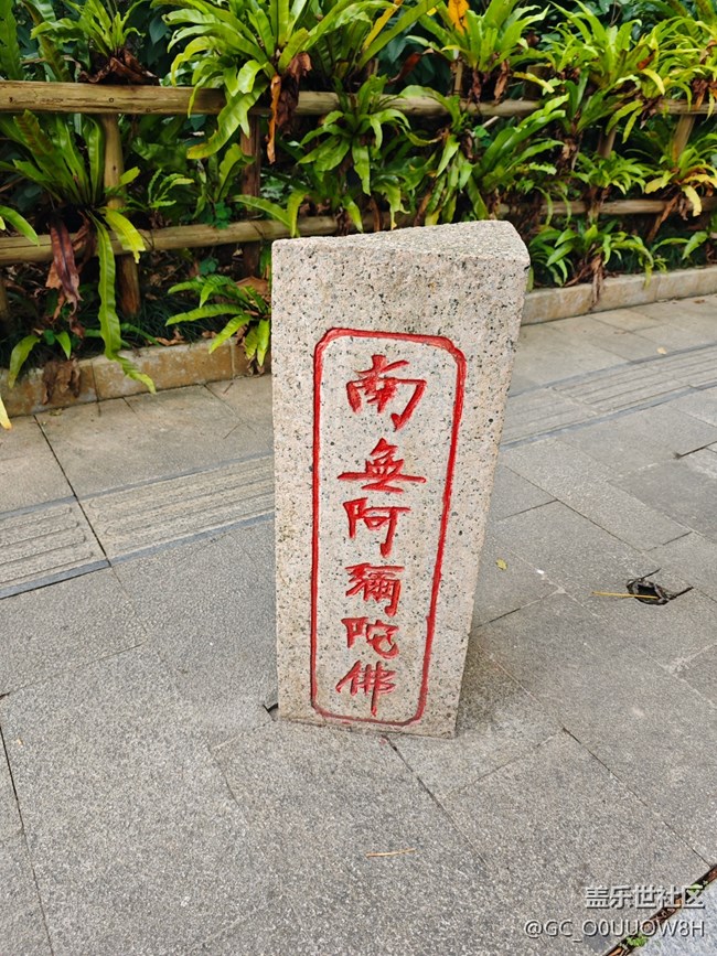 【活动回顾】弘法寺拜佛