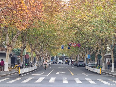 【冬季城市风光】+ 冬天随拍