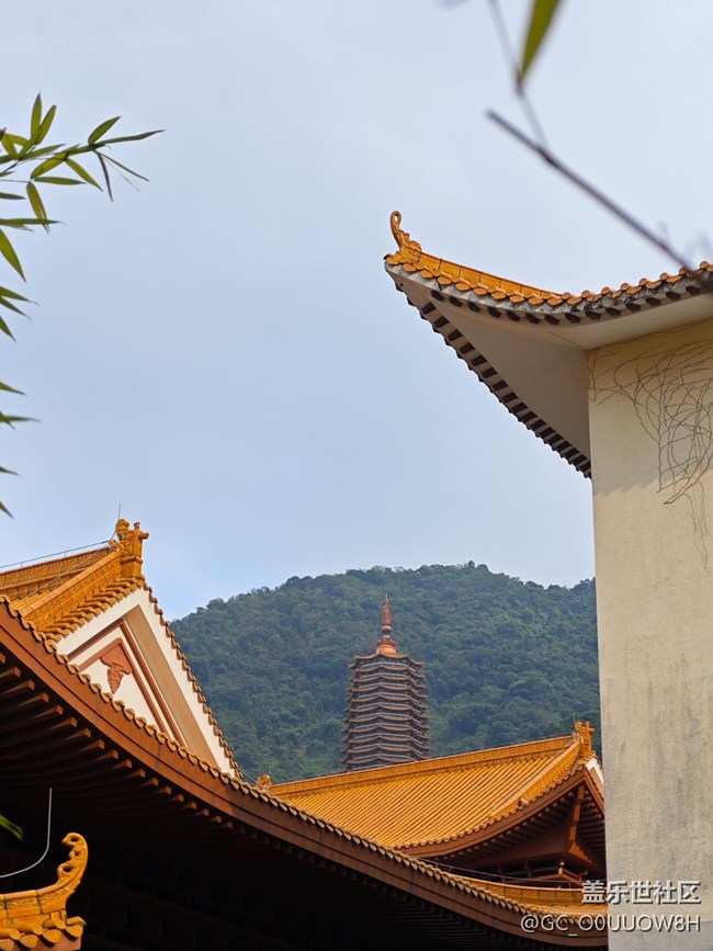 【活动回顾】弘法寺拜佛