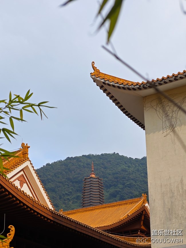 【活动回顾】弘法寺拜佛