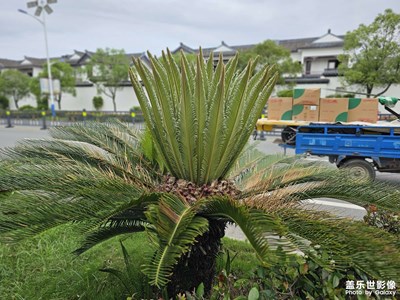随手拍