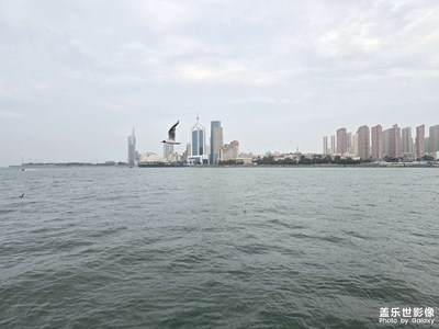 无题-海