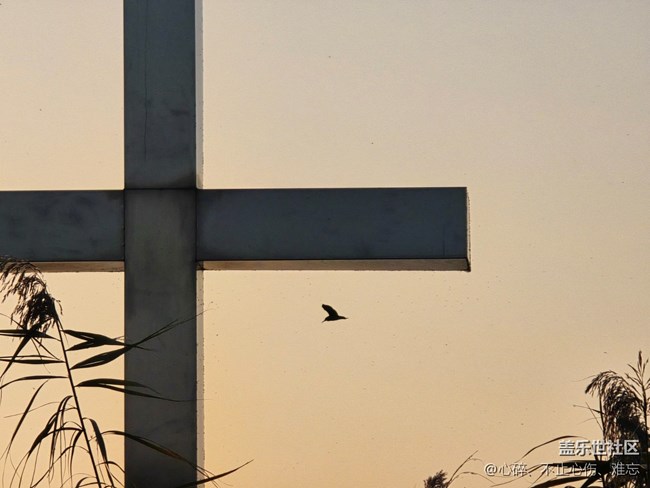 苏州星部落 赏秋品鉴活动