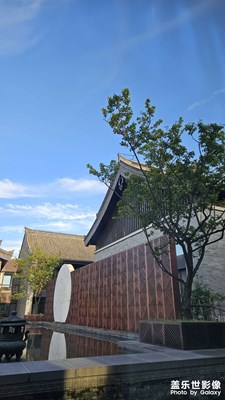 绿茵幕定蔚蓝天 庭户萧然有漏仙