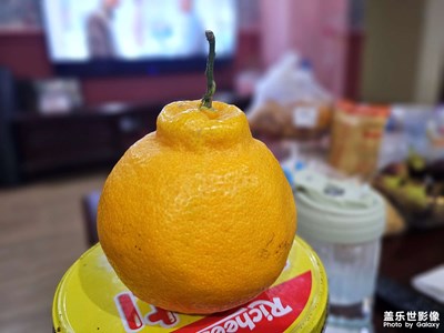 随手拍