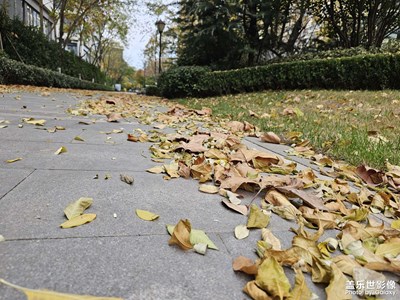 [冬季城市风光]随拍