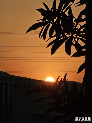 日落