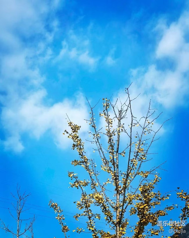 【初冬之美】户外