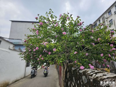 随手拍