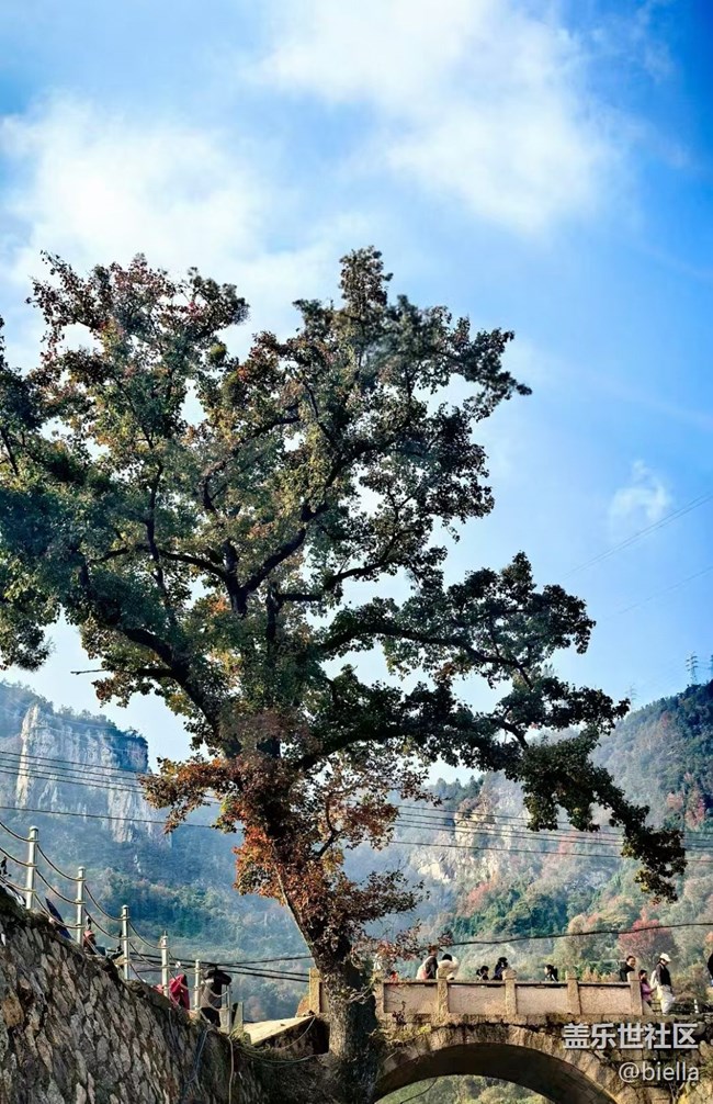 【初冬之美】户外