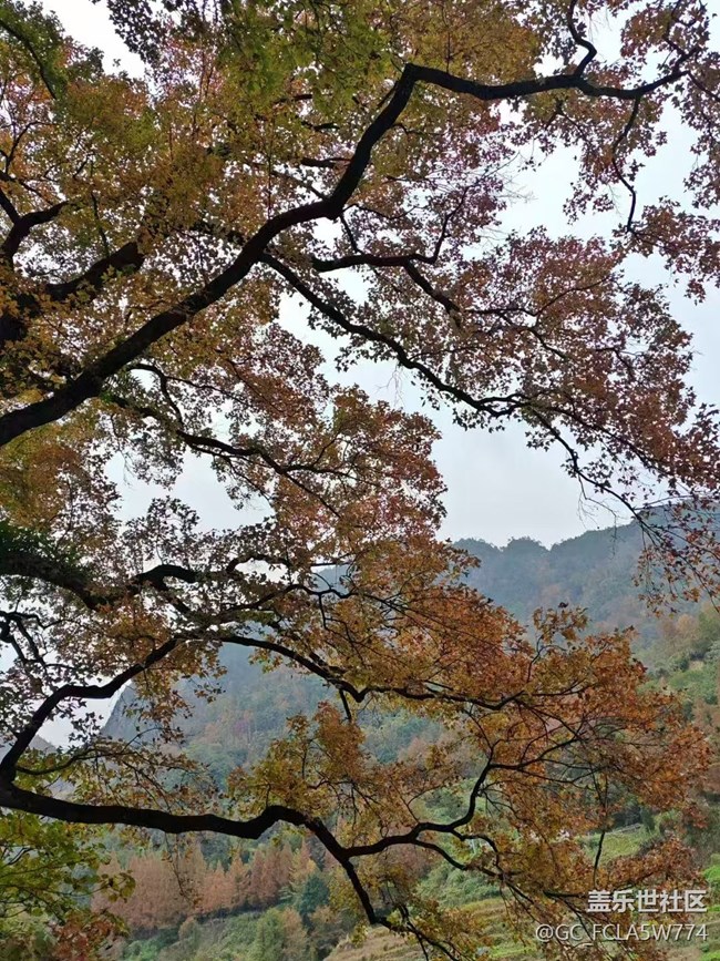 【Galaxy影像】#时光你慢些走+红枫