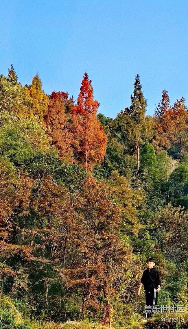 【初冬之美】户外