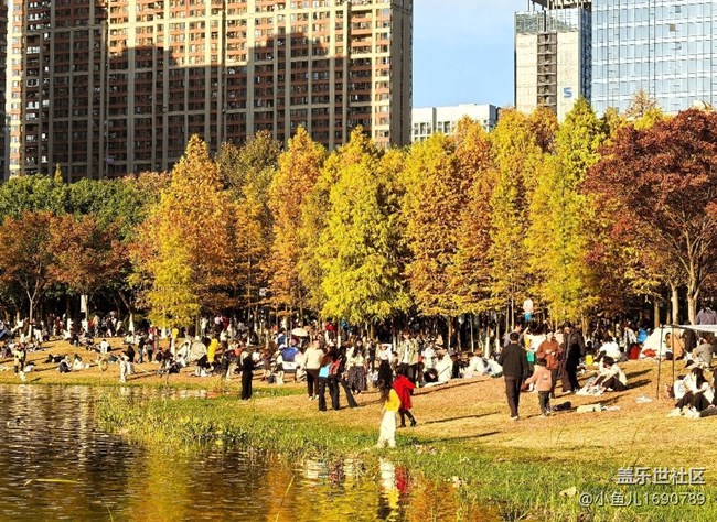 【岁末记忆】城市中的美景