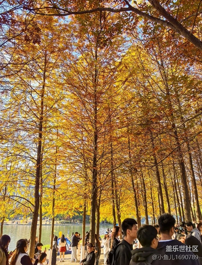 【岁末记忆】城市中的美景