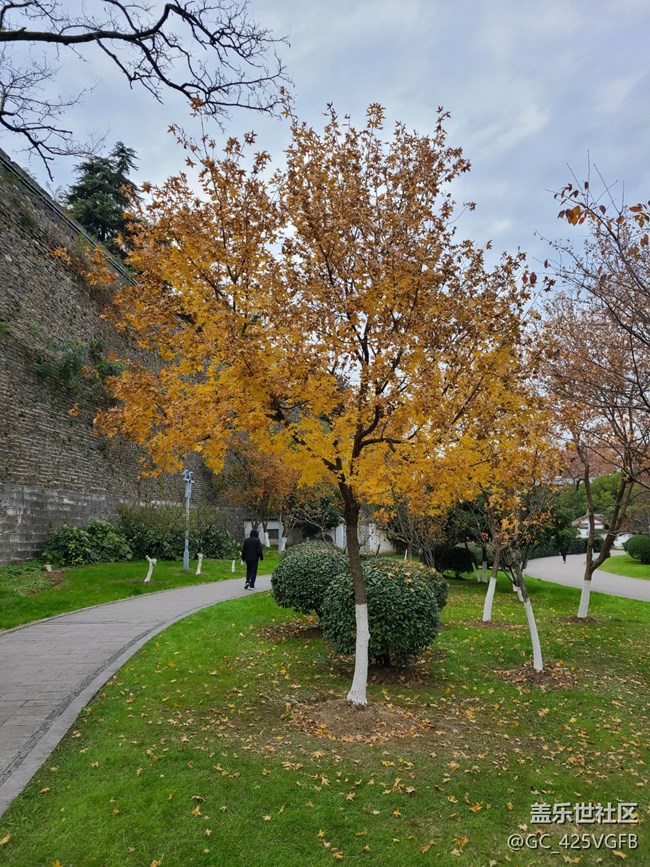 【秋日私语】秋天景色