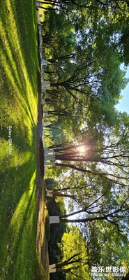 艾溪湖公园 S24UItra