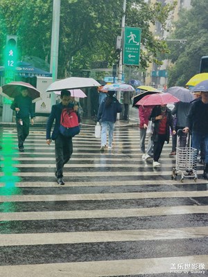 【多元化的世界】雾雨蒙蒙