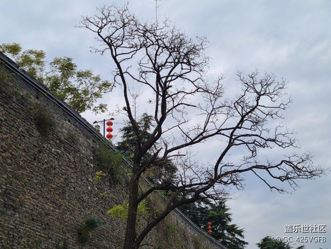 【秋日私语】秋天景色