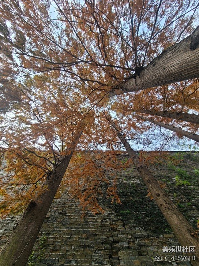 【秋日私语】秋天景色