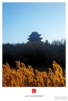 冬天的后半晌