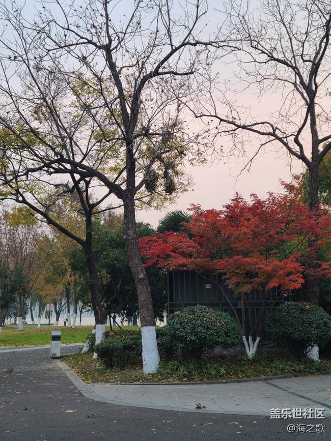 【秋日私语】秋景
