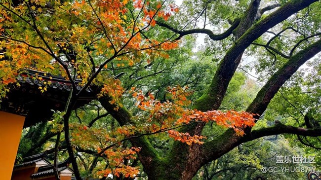 【Galaxy影像】#时光你慢些走+普陀山