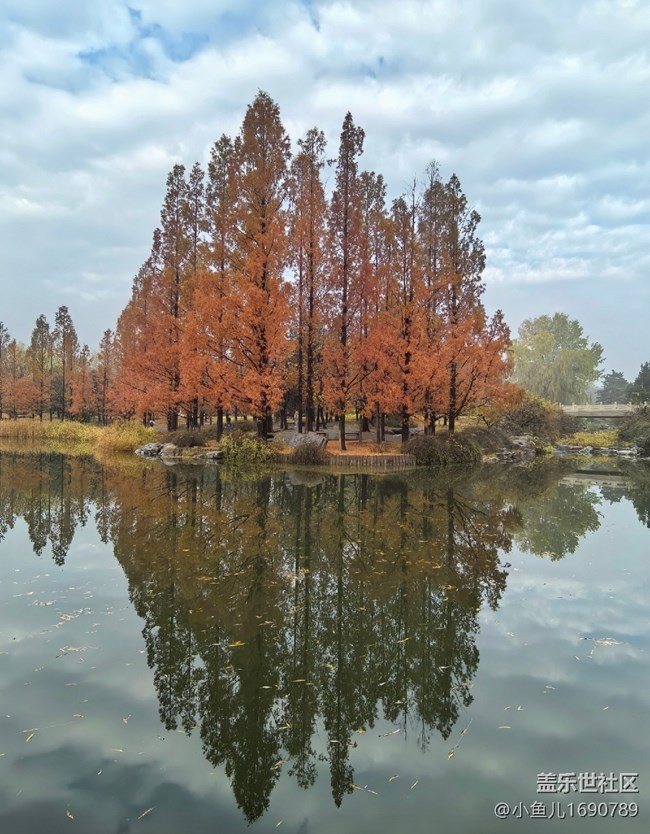 【岁末记忆】颐和皇家美景