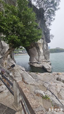 巨象吮水